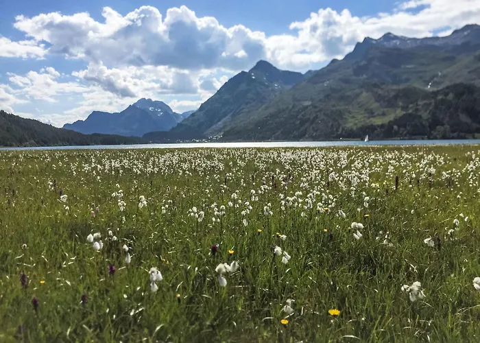 דירה Motta Rotonda By Interhome